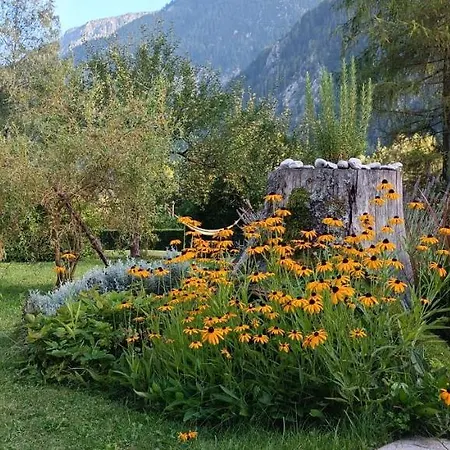 House Apartma Cebela With Jacuzzi *