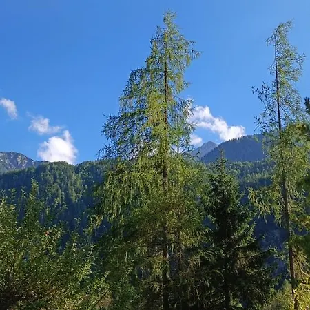 House Apartma Cebela With Jacuzzi