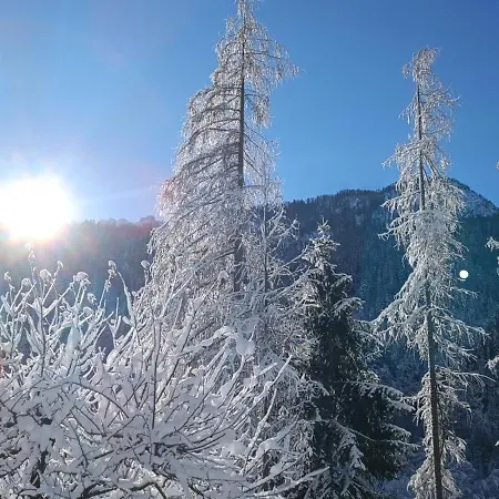 House Apartma Cebela With Jacuzzi Apartmán