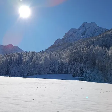 House Apartma Cebela With Jacuzzi *