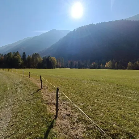 Apartamento House Apartma Cebela With Jacuzzi *