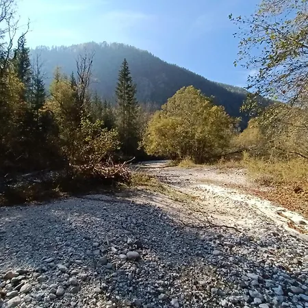 House Apartma Cebela With Jacuzzi Gozd Martuljek