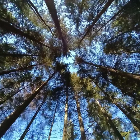 House Apartma Cebela With Jacuzzi