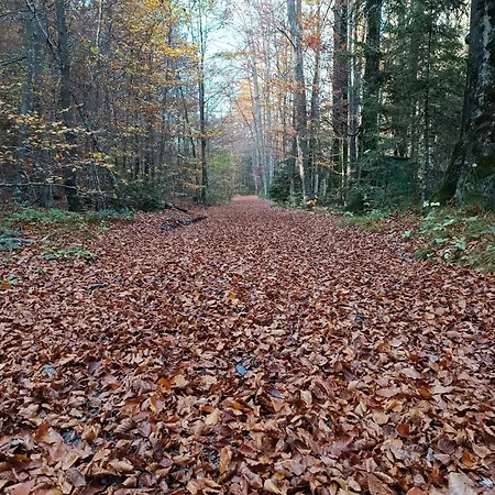 Apartamento House Apartma Cebela With Jacuzzi Gozd Martuljek