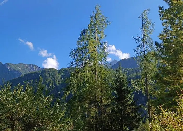 House Apartma Cebela With Jacuzzi