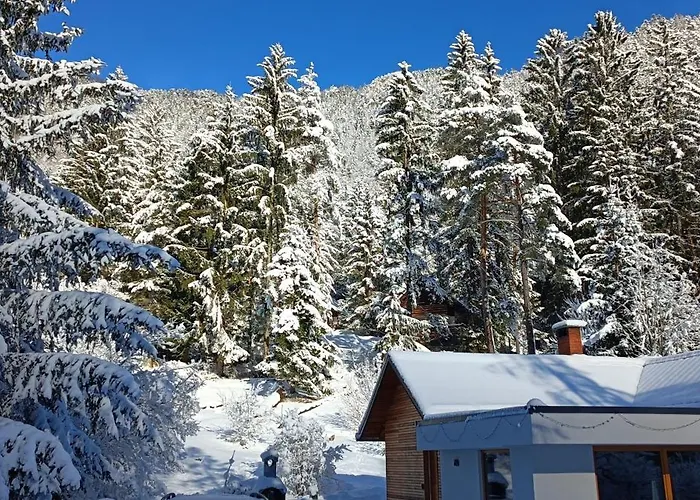 House Apartma Cebela With Jacuzzi