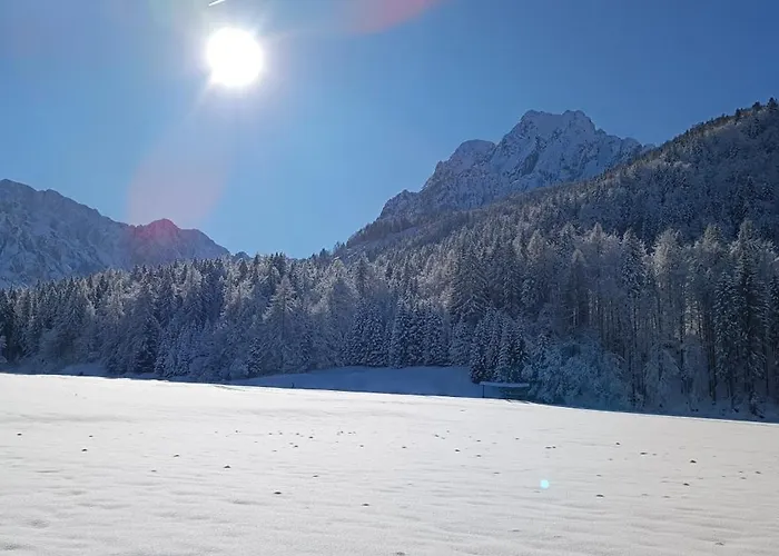 House Apartma Cebela With Jacuzzi *