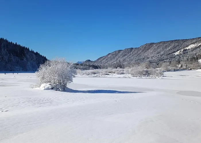 House Apartma Cebela With Jacuzzi * גוזד מרטולז'ק