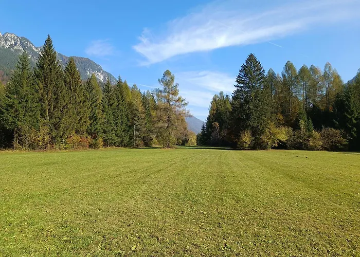 House Apartma Cebela With Jacuzzi דירה גוזד מרטולז'ק