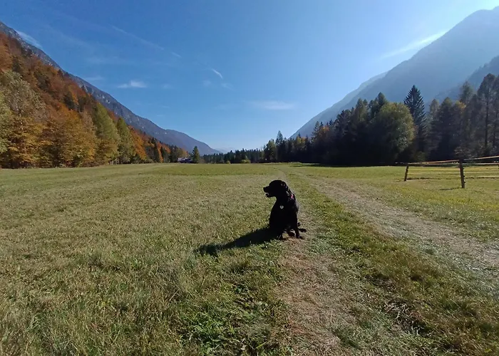 House Apartma Cebela With Jacuzzi גוזד מרטולז'ק