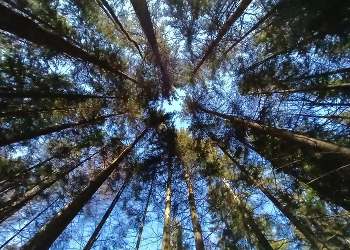 House Apartma Cebela With Jacuzzi