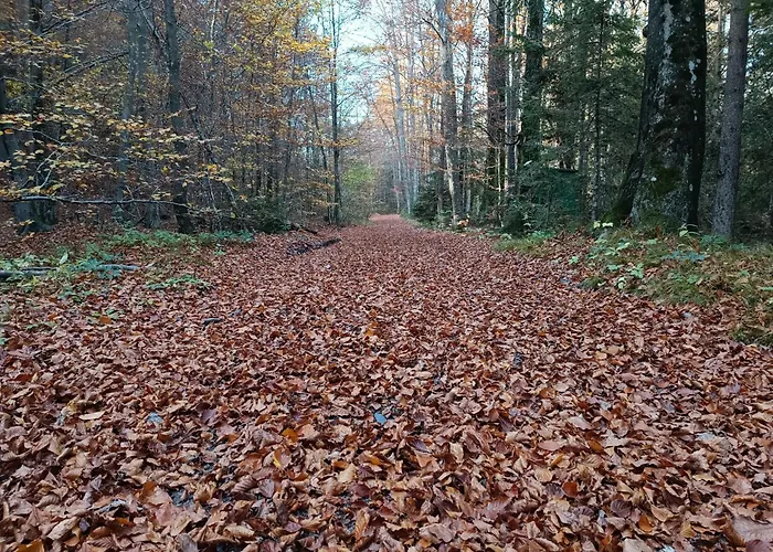 דירה House Apartma Cebela With Jacuzzi גוזד מרטולז'ק